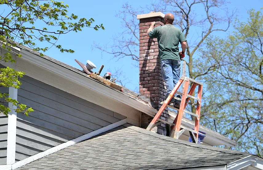 Chimney & Fireplace Inspections Services in Springdale, NJ